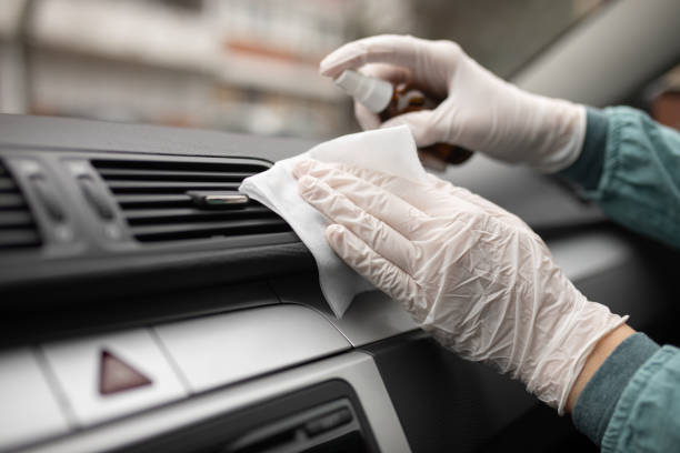 Best Air Duct Mold Removal  in East Freehold, NJ